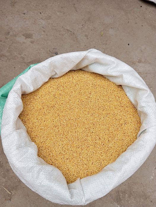 Тары Талқан көтерме бағамен