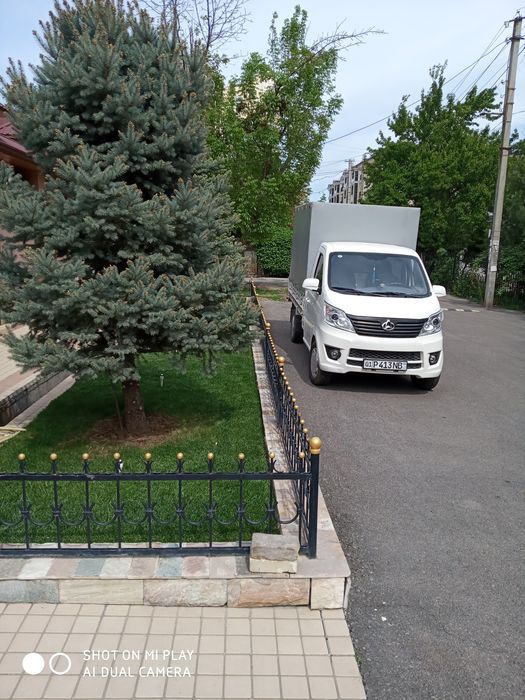 Archalarni dorilash oziqa berish