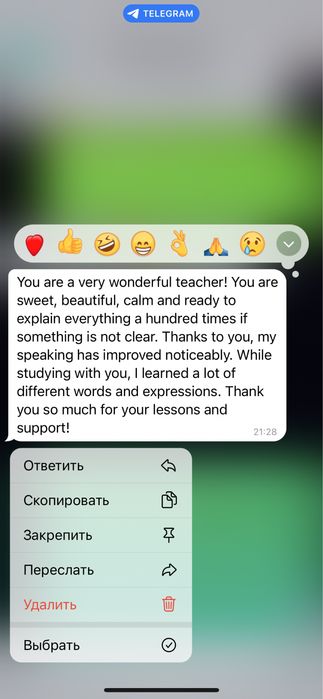 Учитель английского языка