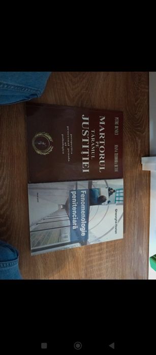 Martor pe taramul justitiei