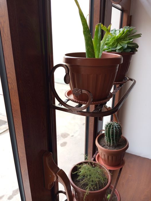 Gul podstavka zakazga