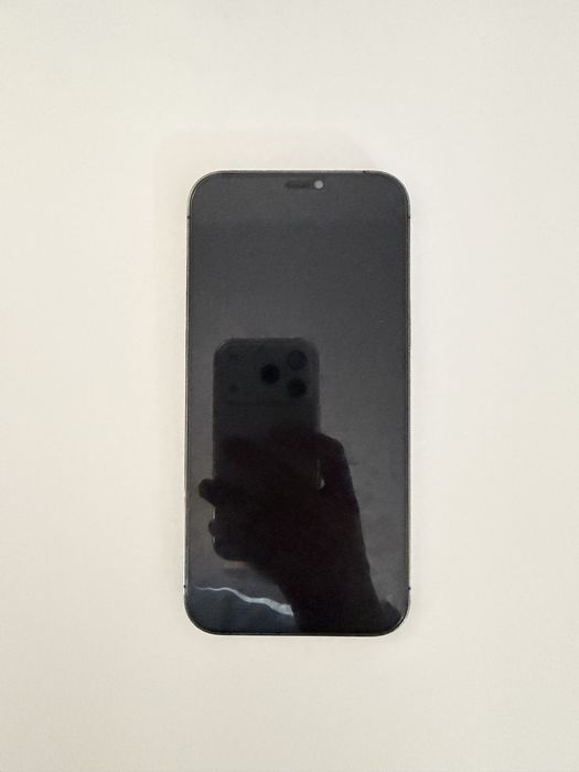 iPhone 12 Pro Max 256 Gb