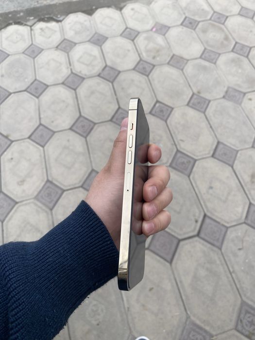 Iphone 13 pro max ideal