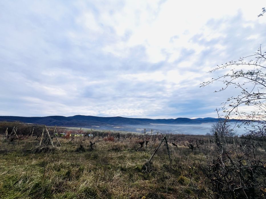 Șiria teren extravilan pe deal