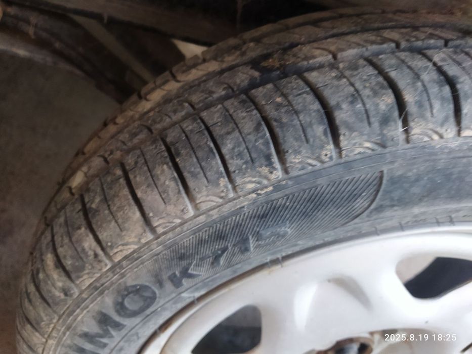 Pashti yangi yurmagan bir joyda turgan