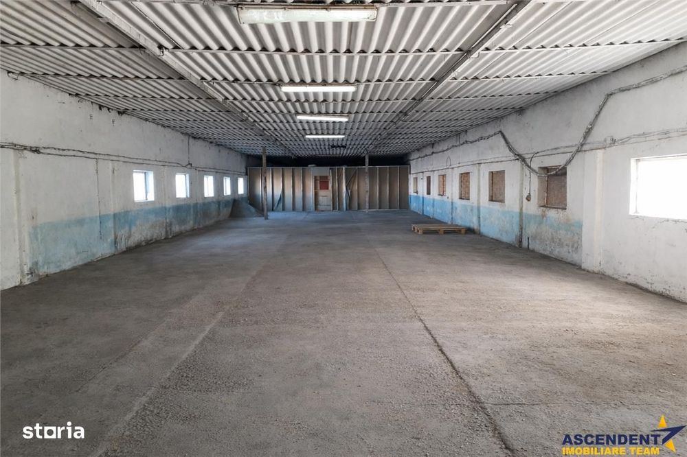 Hala industriala versatila,spatii cazare, platforma betonata,2.300 mp,