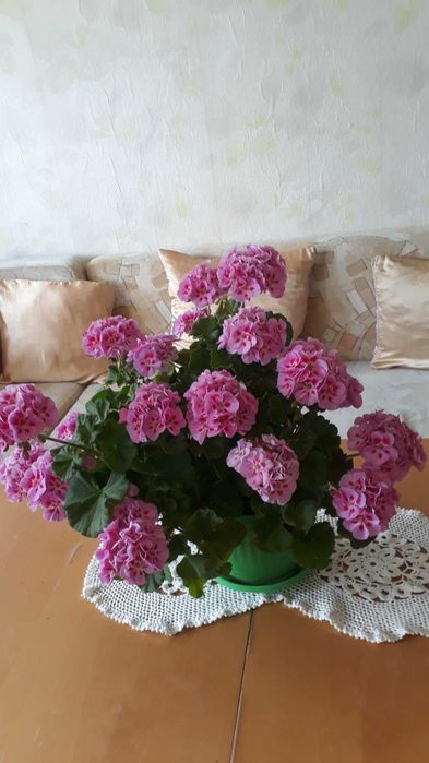 Продавам 4ри стаен апартамент