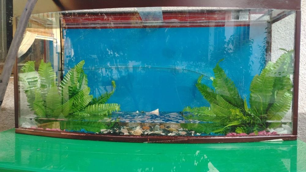 Akvarium stoli bilan sotiladi