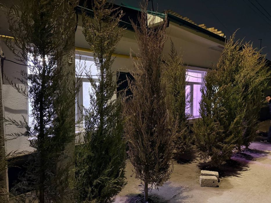 Коттедж в Сергелинском районе