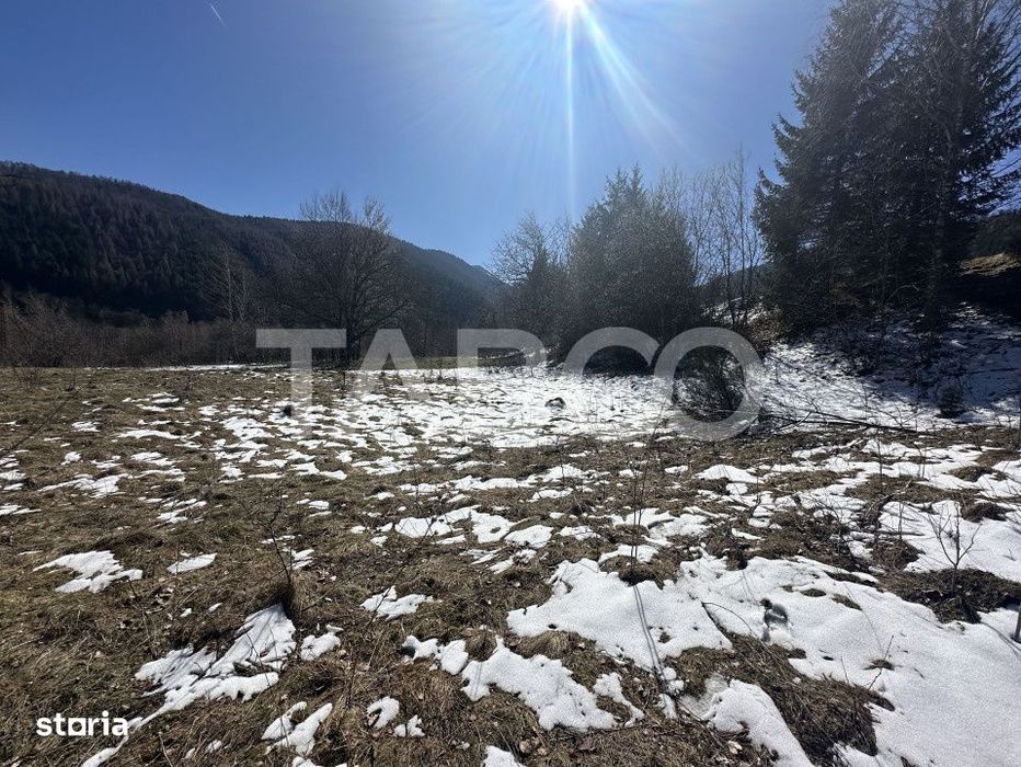 Teren extravilan 4600 mp cu acces la rau Satul de Vacanta Dejani
