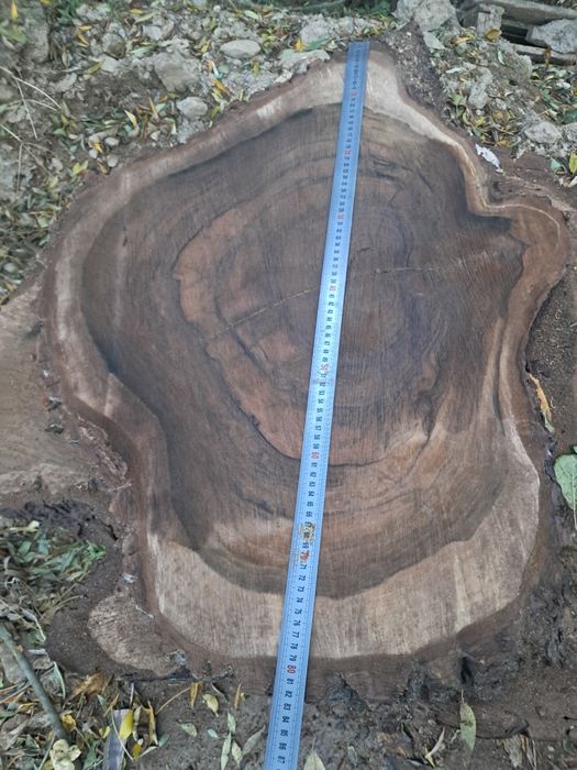 Rondele nuc. PRET SUPER BUN