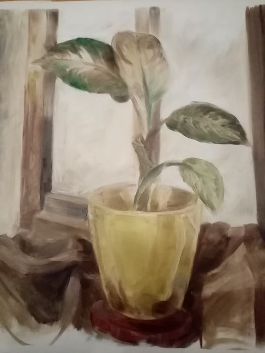 Portrete,reproduceri, desen pe perete, mozaic,gravaj