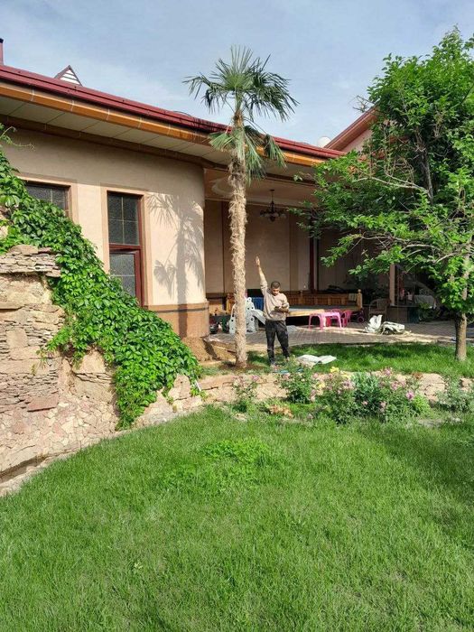 Gazon ekish va o‘rish, daraxtlarga ishlov – SIFATLI xizmat!