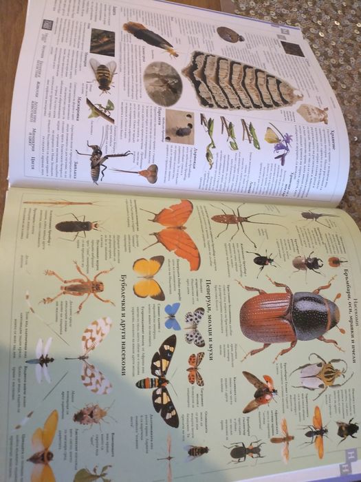 Илюстрована Семейна енциклопедия