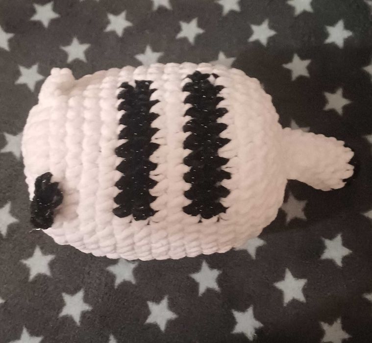 котка като хлебче за осиновяване