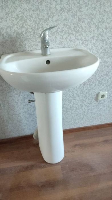 Раковина тюльпан