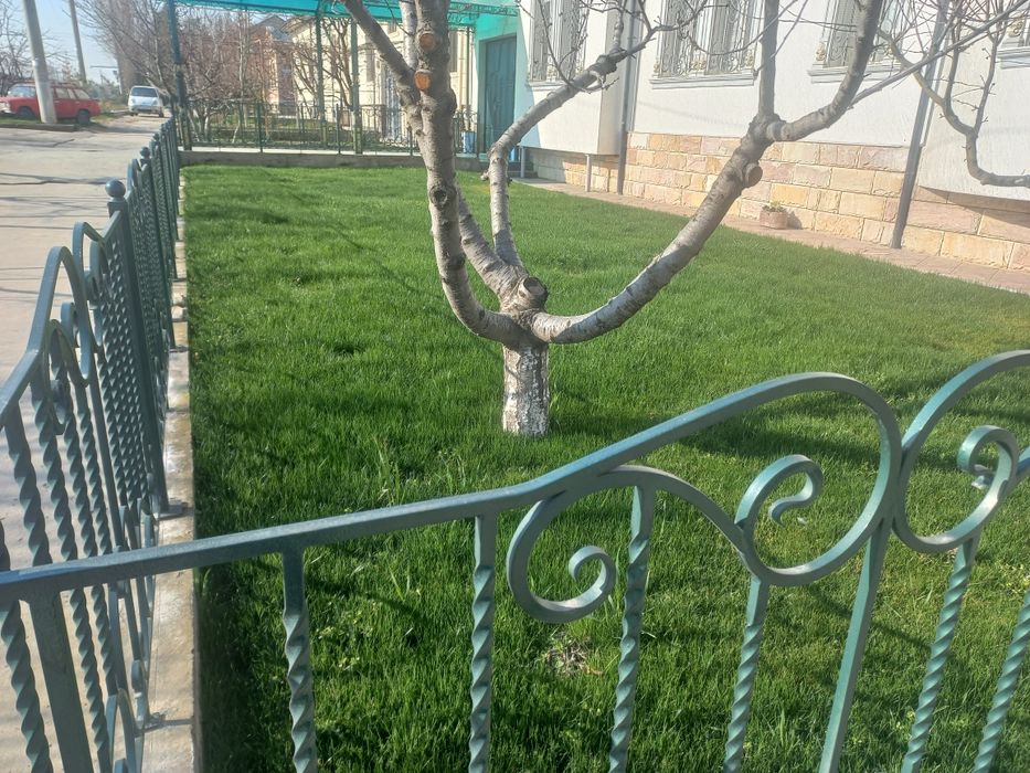 посев газон и семена газона gazon urugi газон уруги