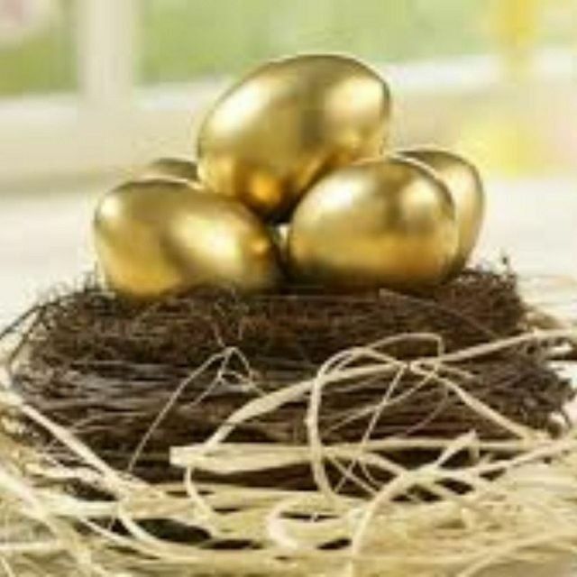 Несушка сенди товук сотилади