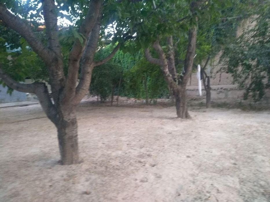 Quruq yer sotiladi Kirov olmazor 88-uy