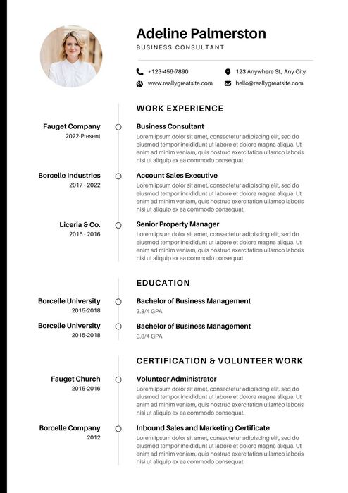 CV(Curriculum vitae) profesional.