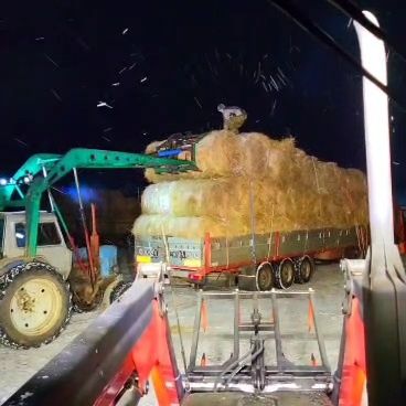 Шөп! Рулон 250кг с доставкой