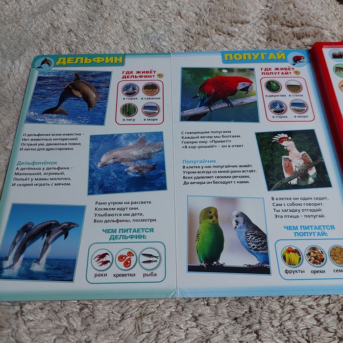 Продам книгу Дикие животные