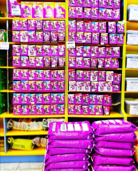 Корма для кошек и собак.