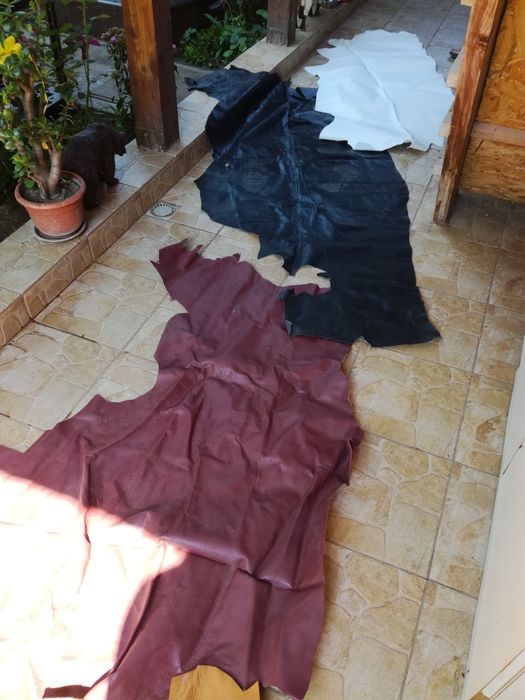 Piele
