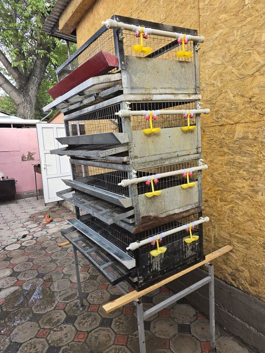 Продам клетки для перепелов