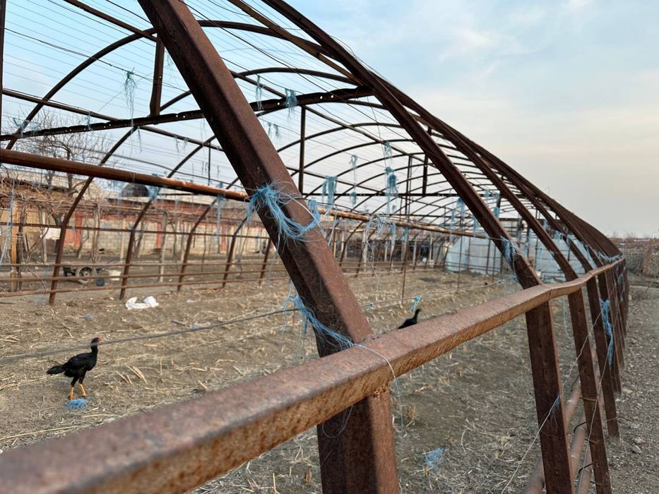 Теплица сотилади