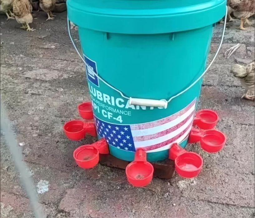 Поилка для птиц