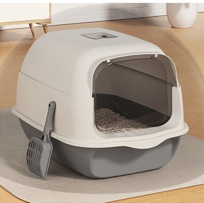 Отдам даром котенка