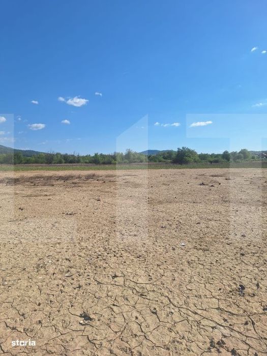 Teren de vanzare 1.600 mp cu deschidere la lac – zona Lacul Surduc
