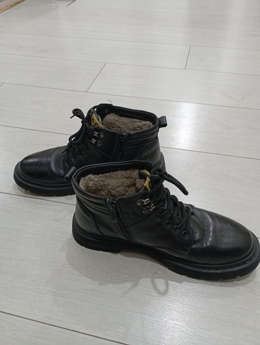 Продаю Кожаные собаки