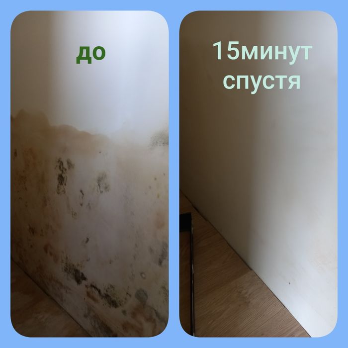 Быстрое и эффективное удаление плесени и грибка. Результат виден сразу