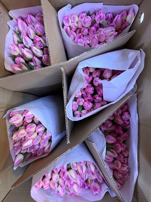ШОК ЦЕНА ! Премиальные большие тюльпаны оптом