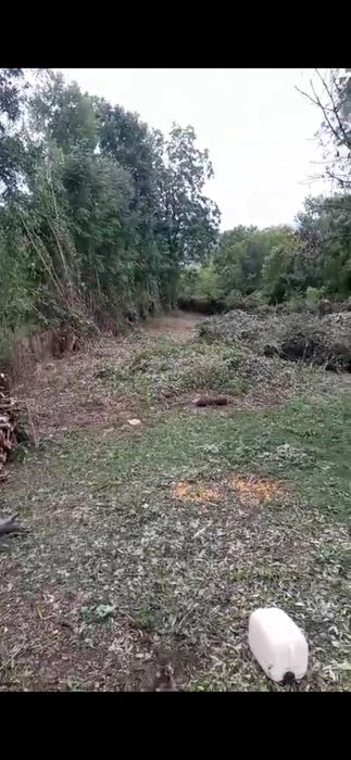 Defrișări  terenuri