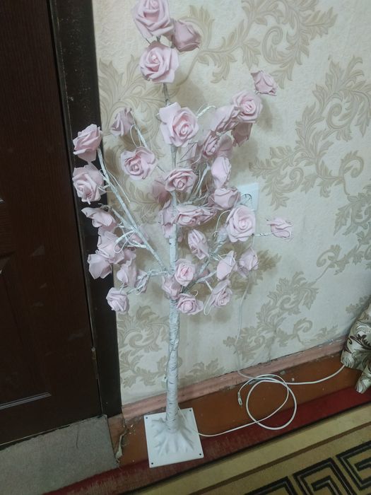 Svitilnik rosa chiroyli