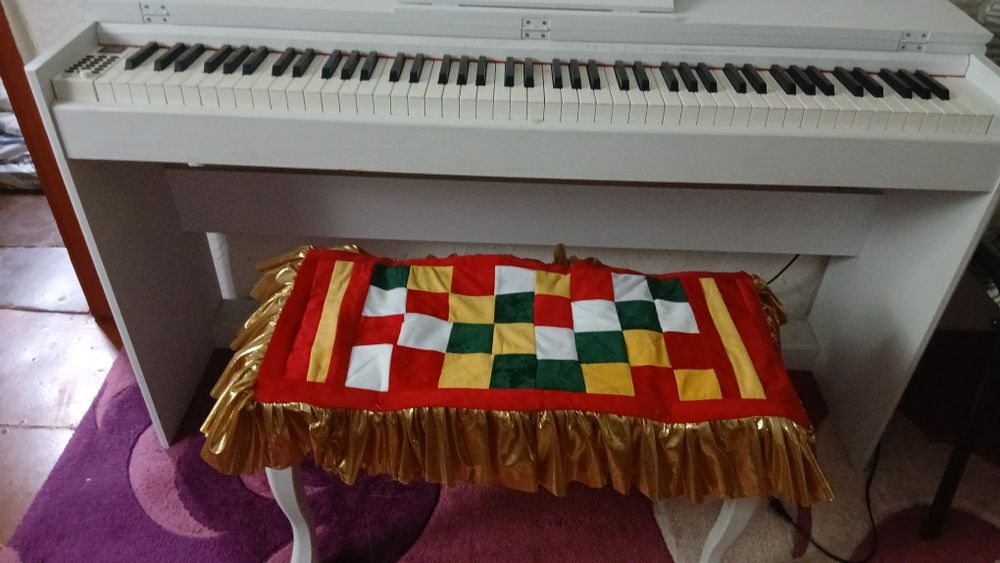 Электронный пионина