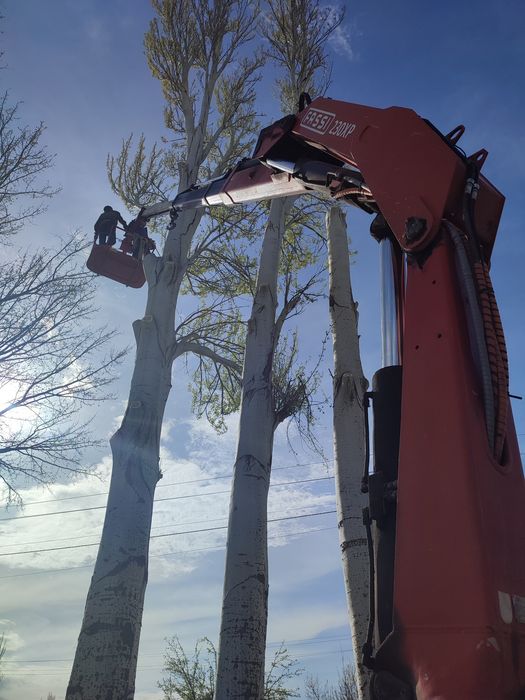 Услуги Манипулятора