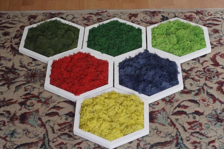 Tablou cu licheni si muschi stabilizati