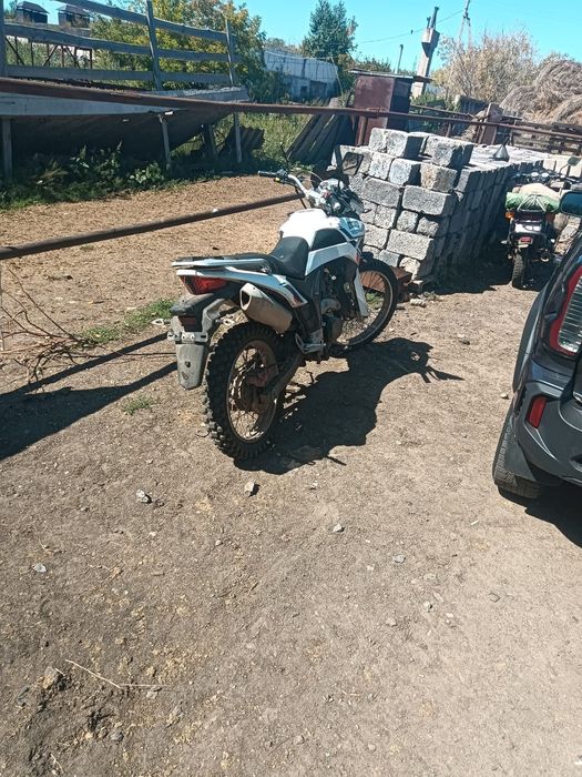 Срочно продам ALMOTOR 300