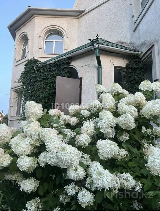 Частный дом с участком