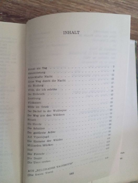 Belebte Nacht - Otto Alschner