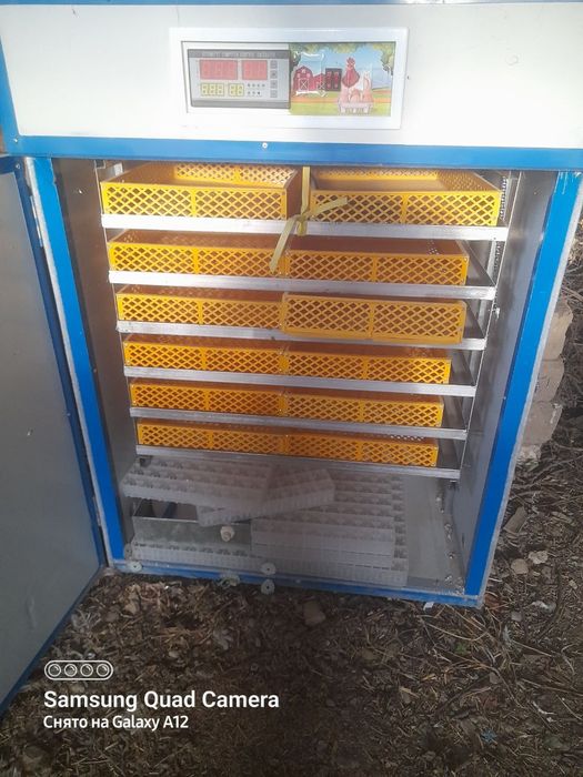 Инкубатор сотилади. 1000 талик