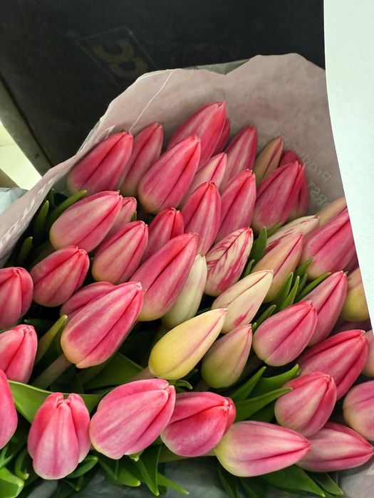 Тюльпаны Оптом 8 Марта выгодная Цена
