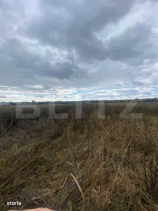 Teren extravilan, 2500 mp, zona Lucieni