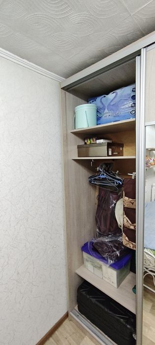Шкаф-купе с ростовым зеркалом