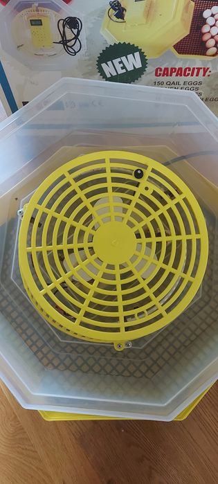 Инкубатор Клео 5