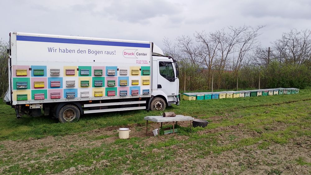 Vand pavilion apicol omologat 7,5 t